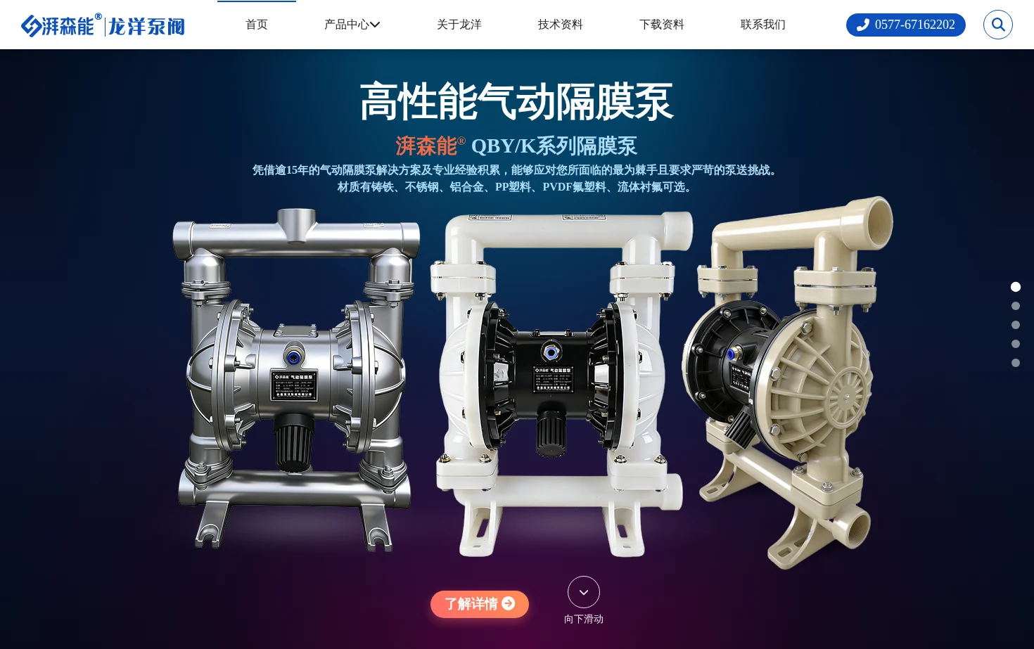 龙洋泵阀有限公司・湃森能品牌 页面快照